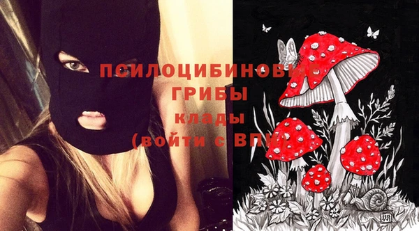 мдпв Новокубанск