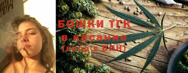 гидра Новозыбков