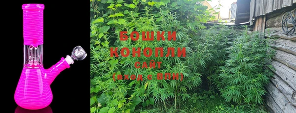 гидра Новозыбков
