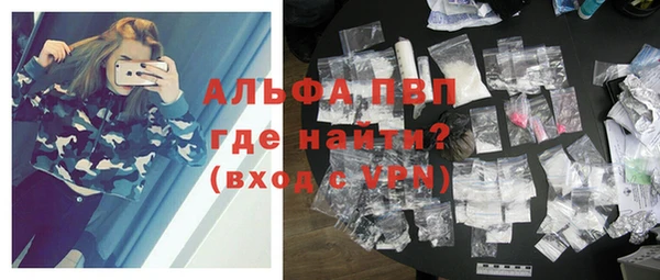 гидра Новозыбков