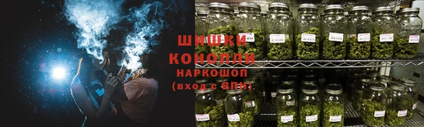гидра Новозыбков