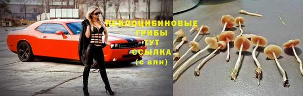 COCAINE Новодвинск