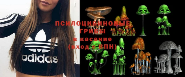 мдпв Новокубанск