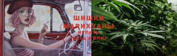 гидра Новозыбков