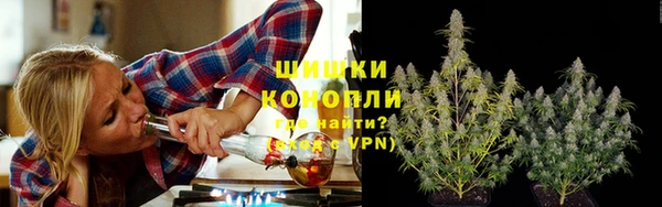 бошки Болотное