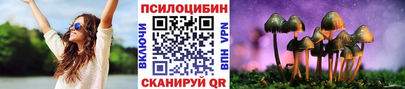OMG сайт  Лебедянь  Псилоцибиновые грибы Psilocybine cubensis 
